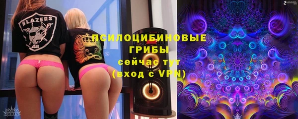 дживик Абаза