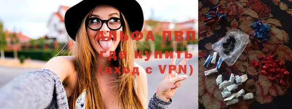 дживик Абаза